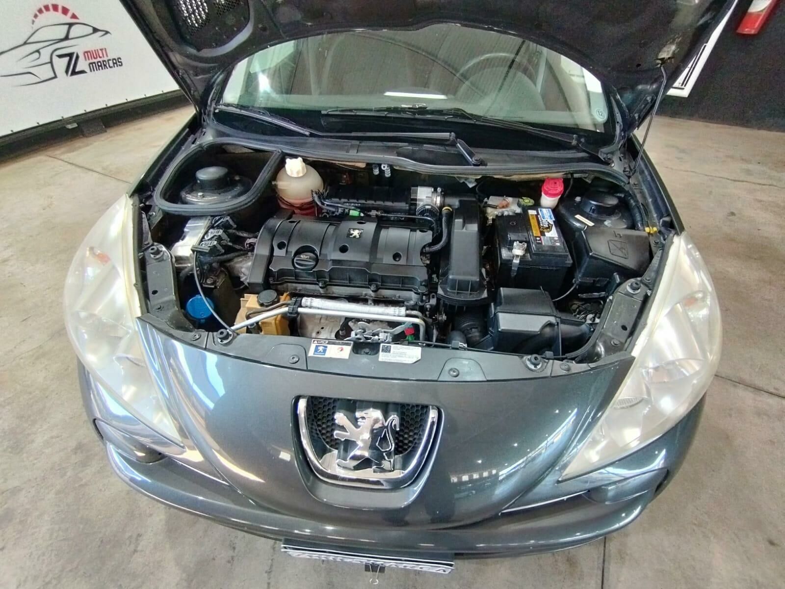 Imagem do veículo  PEUGEOT 207 HB XS 1.6
